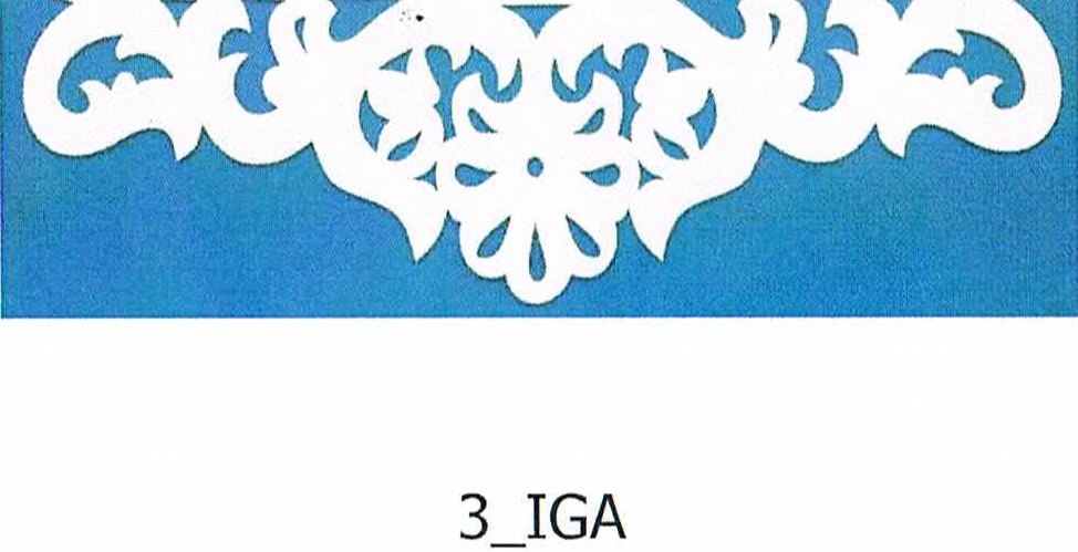 2_IGA