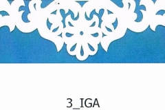 2_IGA