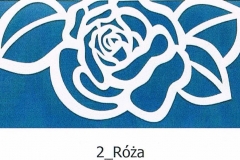 2_ROZA