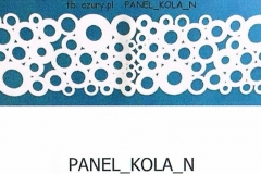 PANEL_KOLA_N