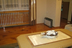 obraz_015