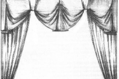 motyle